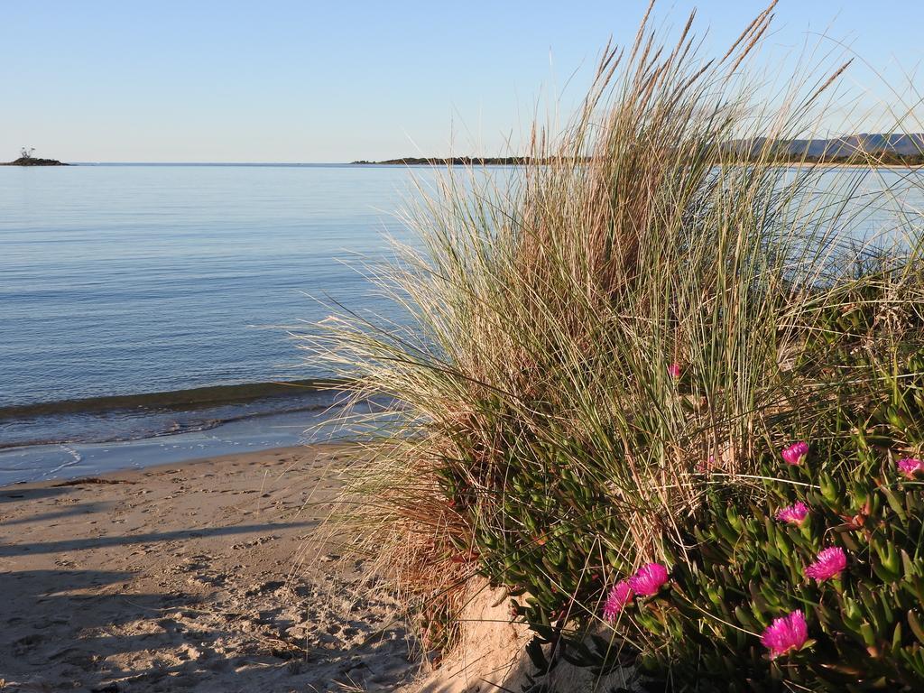 Moomba Holiday And Caravan Park Hotel Port Sorell Luaran gambar